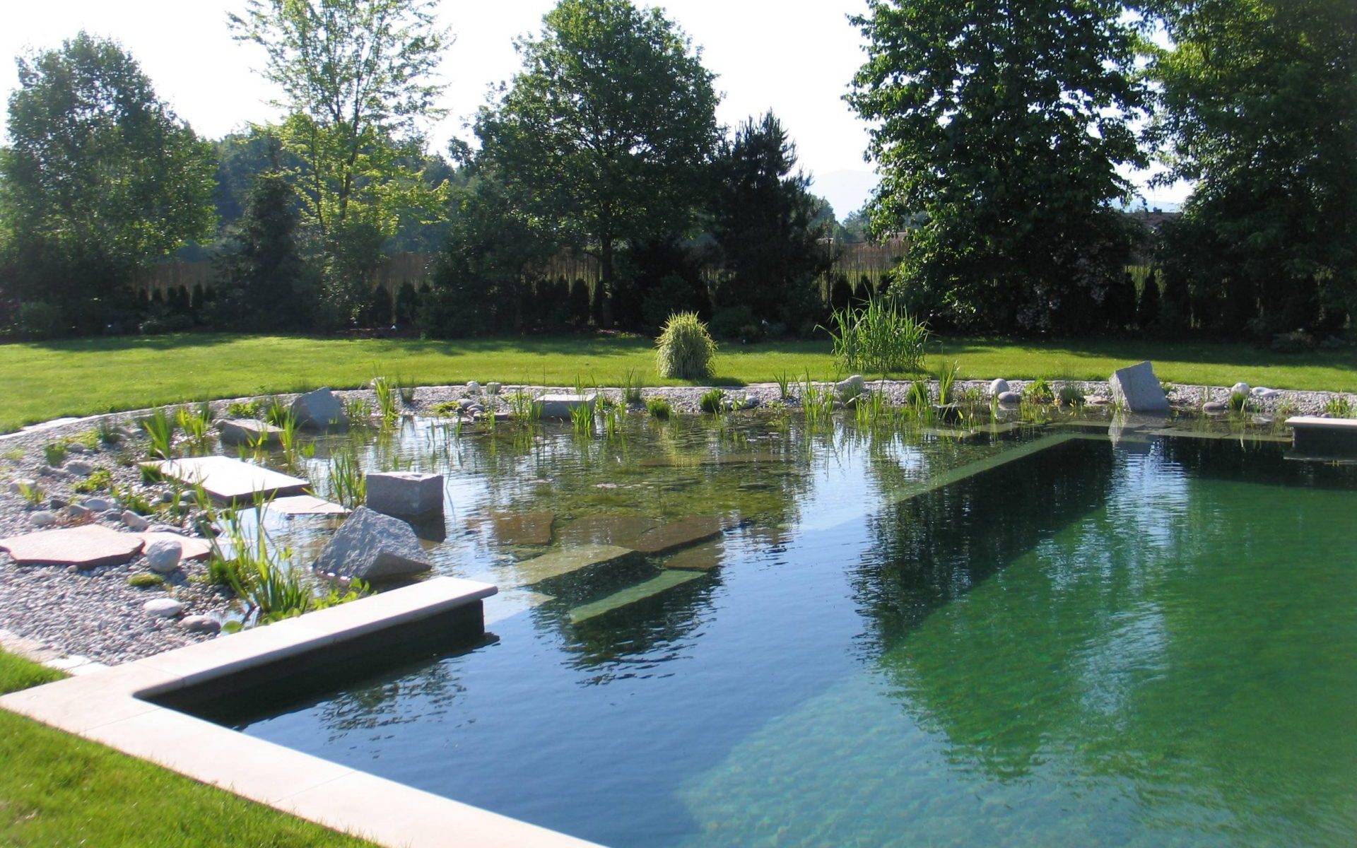 piscine naturelle dans un jadin