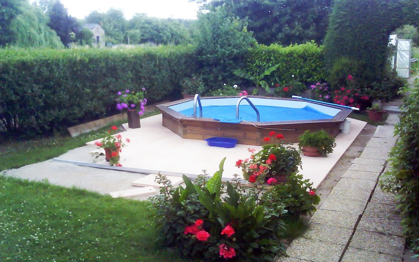 piscine avec des plantes autour