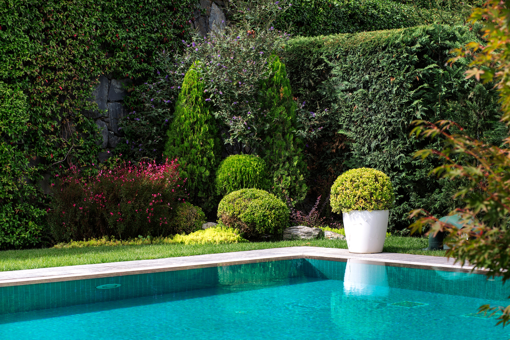 Quelles plantes autour de votre piscine